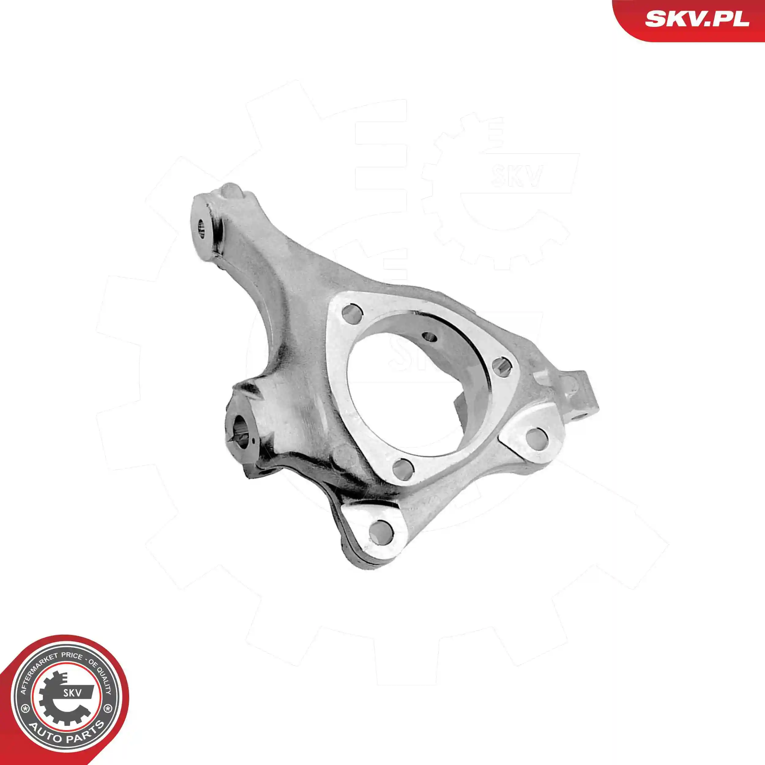Steering Knuckle, wheel suspension